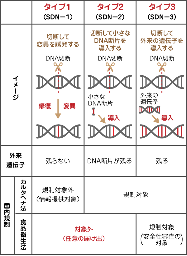 ゲノム編集の種類（タイプ1・タイプ2・タイプ3）